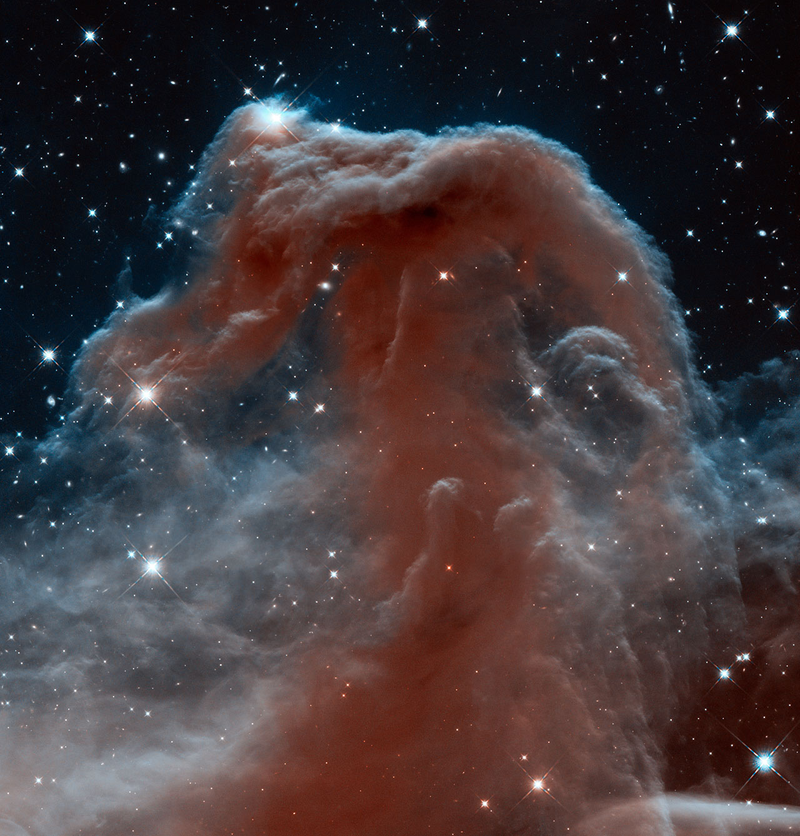 Illustration for article titled The Horsehead Nebula gets a reboot
